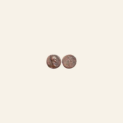 Domitian Æ as. Rome, AD 86. MONETA AVGVST