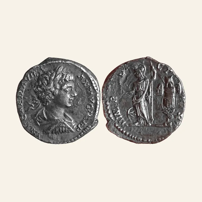 Caracalla AR Denarius. Rome, AD 198.