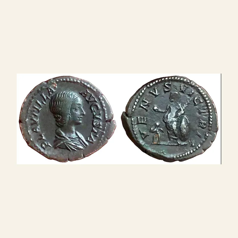 Obverse, of the denarius, for Plautilla. Augusta AR Denarius AD 202-205. Rome, mint of Rome, 202-205
