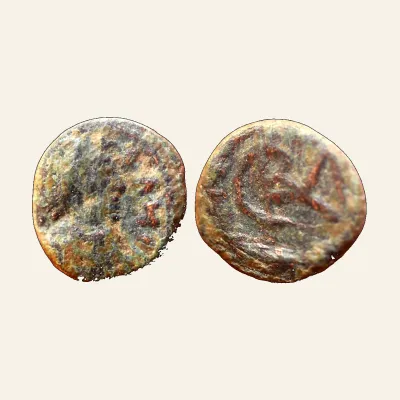 Avers, pour VANDALS. Gelimer. 530-534. Æ Nummus (0.72 g, 9 mm). Carthage mint., atelier de Carthage, 530-534, RIC BMC...