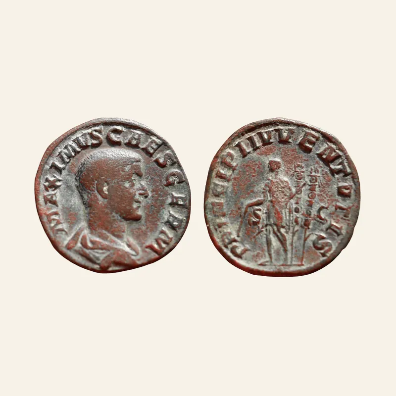Obverse, of the sestertius, for MAXIMUS (Caesar, 235/6-238). AE Sestertius. Rome. RIC 13, mint of Rome