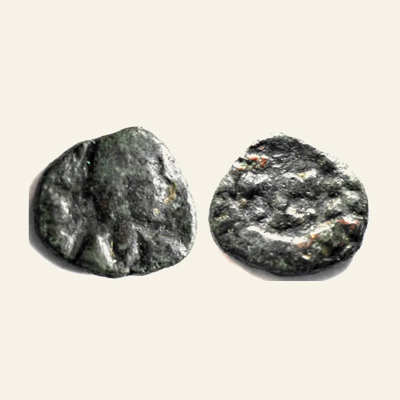 Obverse, for VANDALS. Hilderic. 523-530. Æ Nummus (10mm, 0.8 g, 12h). Carthage mint., mint of Carthage, 523-530