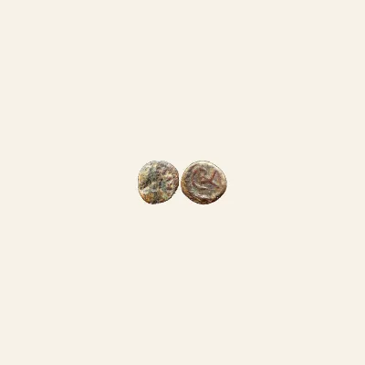 Reverse, for VANDALS. Hilderic. 523-530. Æ Nummus (10mm, 0.8 g, 12h). Carthage mint., mint of Carthage, 523-530