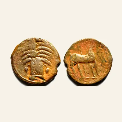 Avers, pour Punic Zeugitana Carthage Æ Shekel. Uncertain Punic mint, circa 300-264 BC. RARE, atelier de Carthage, 264 BC