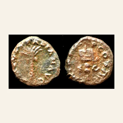 Avers, pour Vespasian. Æ Quadrans (2.05 g), AD 69-79. Judaea Capta type. Rome, AD 72/3., atelier de Rome, 69-79, RIC RIC 408
