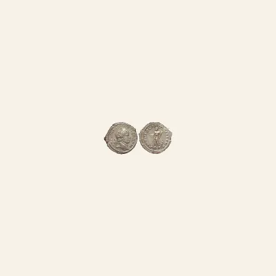 Reverse, of the denarius, for Caracalla augustus, 198 – 217 Denarius 210-213, AR 3.43 g., 198 – 217