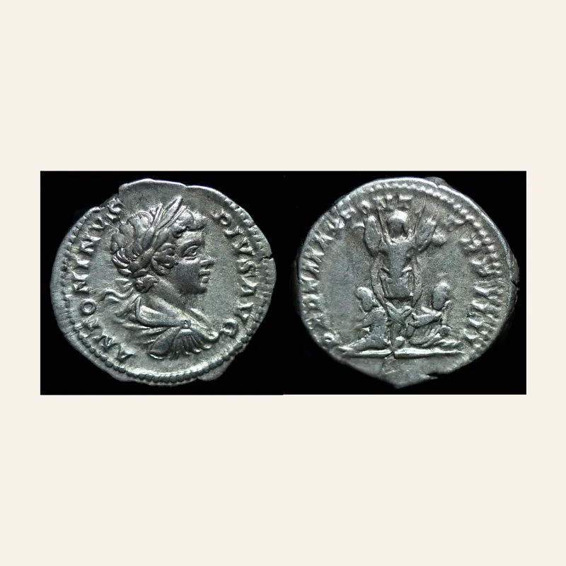 Obverse, of the denarius, for CARACALLA. 198-217 AD. AR Denarius (3.52 gm). Struck 201 AD., 217 AD
