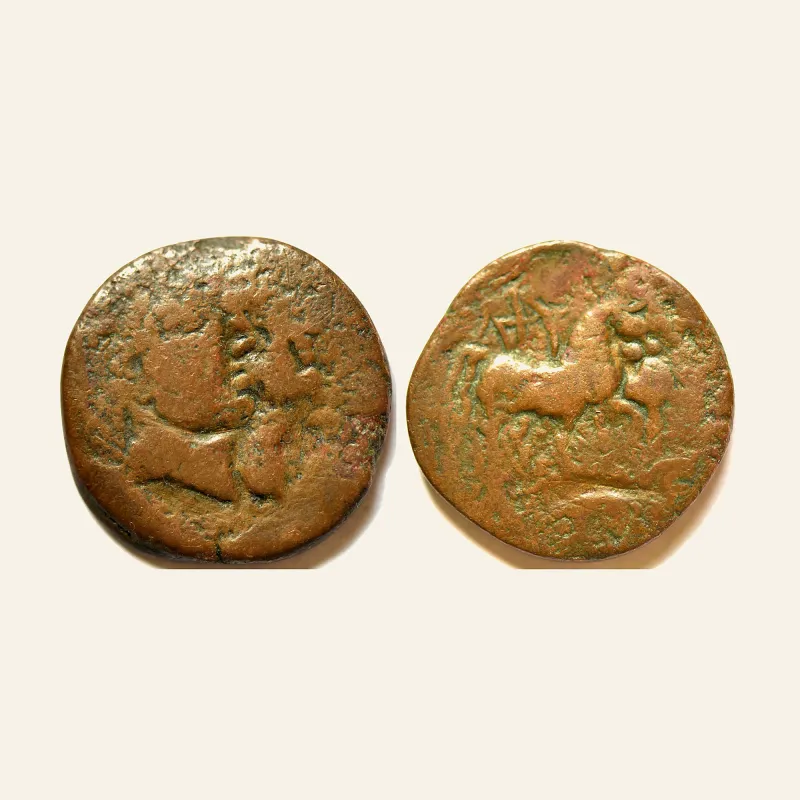 Obverse, for RARE Zeugitana - Utica. Circa 1st Century BC. 3 shekels Æ 26mm, mint of Utica