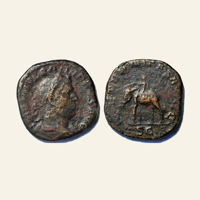 Obverse, of the sestertius, for Philip I (244-249), Sestertius, Rome, AD 244-249, AE (g 15,02 mm 30),, mint of Rome, 244-249
