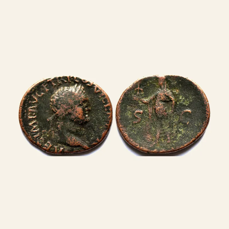 Obverse, of the as, for Titus (AD 79-81). AE as (24-28mm, 8.6 gm). Lugdunum, AD 77-78., 79-81