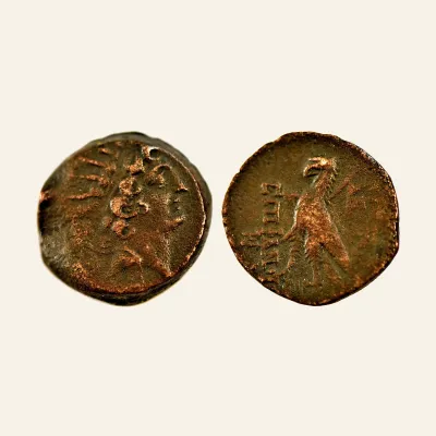 Avers, pour Seleucid Kings of Syria, Antiochos VIII Epiphanes (Grypos). 121-98/6 BC. AE 19, 6.5g., atelier de Antioch, 6 BC