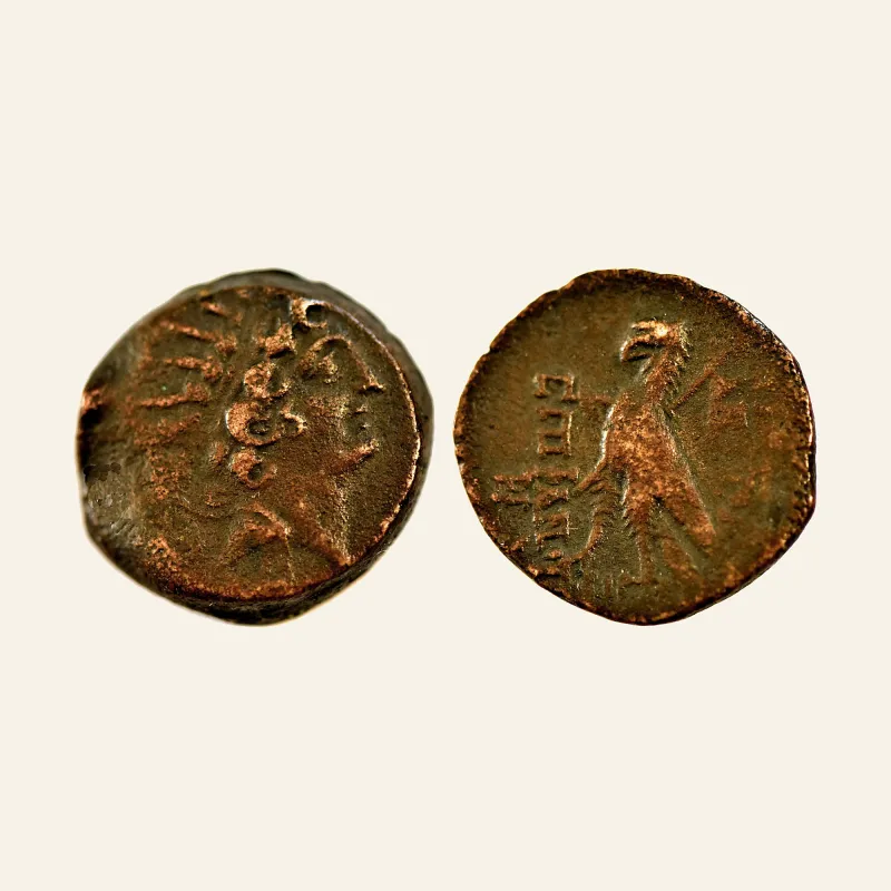 Obverse, for Seleucid Kings of Syria, Antiochos VIII Epiphanes (Grypos). 121-98/6 BC. AE 19, 6.5g., mint of Antioch, 6 BC