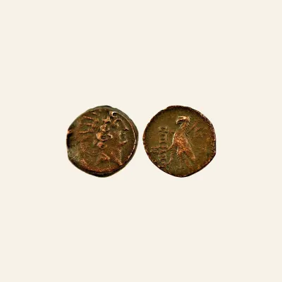 Reverse, for Seleucid Kings of Syria, Antiochos VIII Epiphanes (Grypos). 121-98/6 BC. AE 19, 6.5g., mint of Antioch, 6 BC