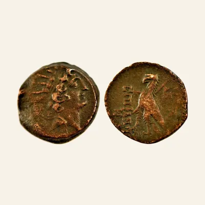 Reverse, for Seleucid Kings of Syria, Antiochos VIII Epiphanes (Grypos). 121-98/6 BC. AE 19, 6.5g., mint of Antioch, 6 BC