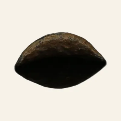 Reverse, for Ancient Roman Bronze Ring Fragment Depicting a Head – 1st to 3rd Century AD, 1er-3e siècle après J.-C.