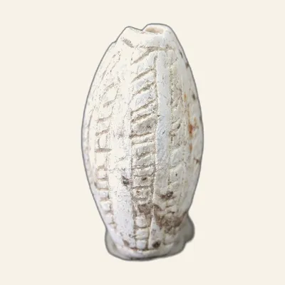 Revers, du Cauroid, pour Cauroid en stéatite à uraeus et motifs floraux – Égypte ancienne, Nouvel Empire (1550–1100 av....