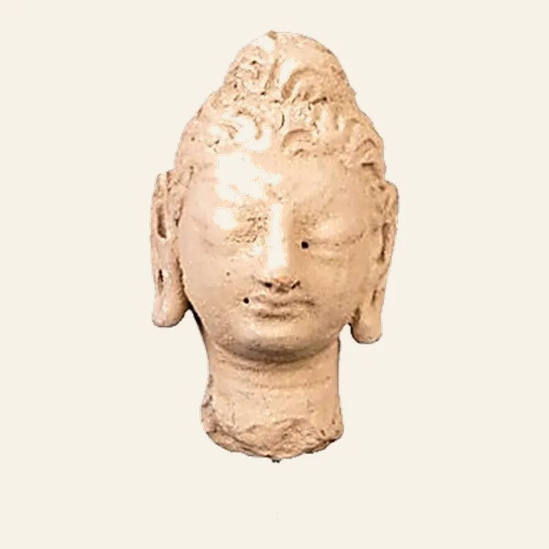 Avers, pour Tête gandharienne en stuc de Bouddha – IIIe–IVe s. apr. J.-C. – avec certificat d’authenticité, atelier de...