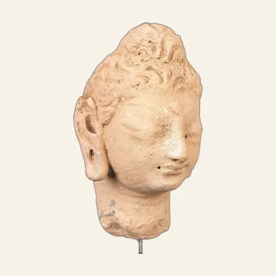 Revers, pour Tête gandharienne en stuc de Bouddha – IIIe–IVe s. apr. J.-C. – avec certificat d’authenticité, atelier de...