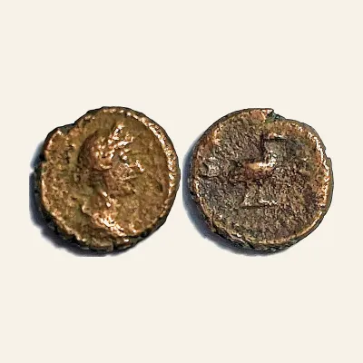Obverse, for Roman Imperial Anonymous AE Quadrans Diademed Venus & Dove RIC 24, mint of Rome