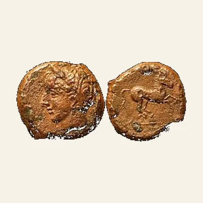 Reverse, of the as, for ZEUGITANA, Carthage. Augustus. Æ as (6.07 g,). AD 10, mint of Carthage