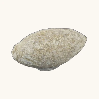 Grèce antique – Balle de fronde en plomb (IVe s. av. J.-C.) – Avec certificat d’authenticité - vue 5