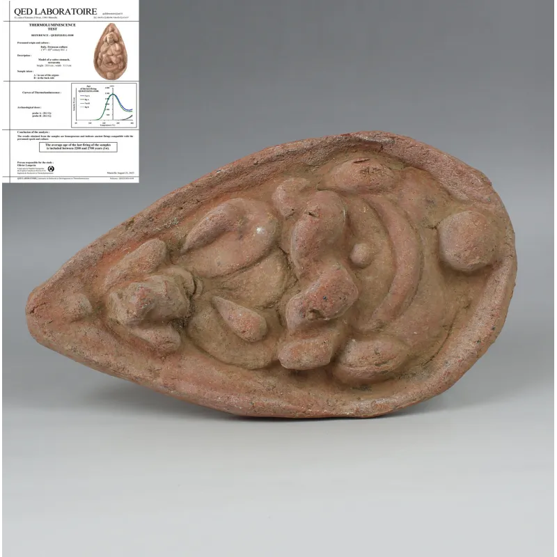 Obverse, for Etruscan — Anatomical votive model of a stomach — 5th - 4th Century B.C, 5th - 4th Century B.C