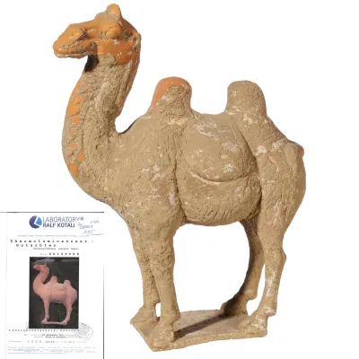 Avers, pour Chinese, Tang Dynasty — Statuette of a camel — 618 - 907 ap. J.-C., 618 - 907 ap. J.-C.