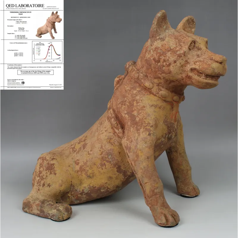 Avers, pour Chinese, Han Dynasty — Statuette of a dog — 206 av. J.-C. - 220 ap. J.-C., 206 av. J.-C. - 220 ap. J.-C.