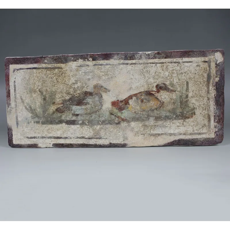 Obverse, for Roman — Fragment of a wall painting with ducks — 1st Century A.D, 1st Century A.D