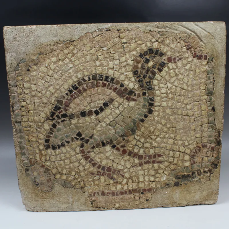 Avers, pour Romain — Mosaic depicting a bird — 3e siècle ap. J.-C., 3e siècle ap. J.-C.