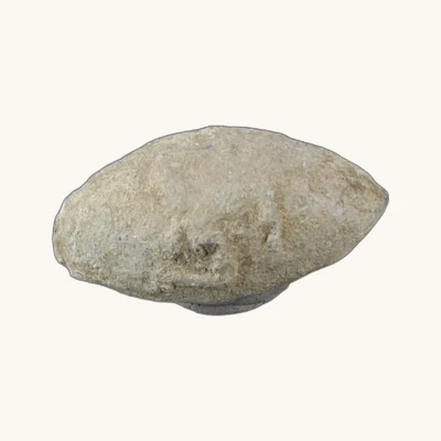 Grèce antique – Balle de fronde en plomb (IVe s. av. J.-C.) – Avec certificat d’authenticité - vue 2