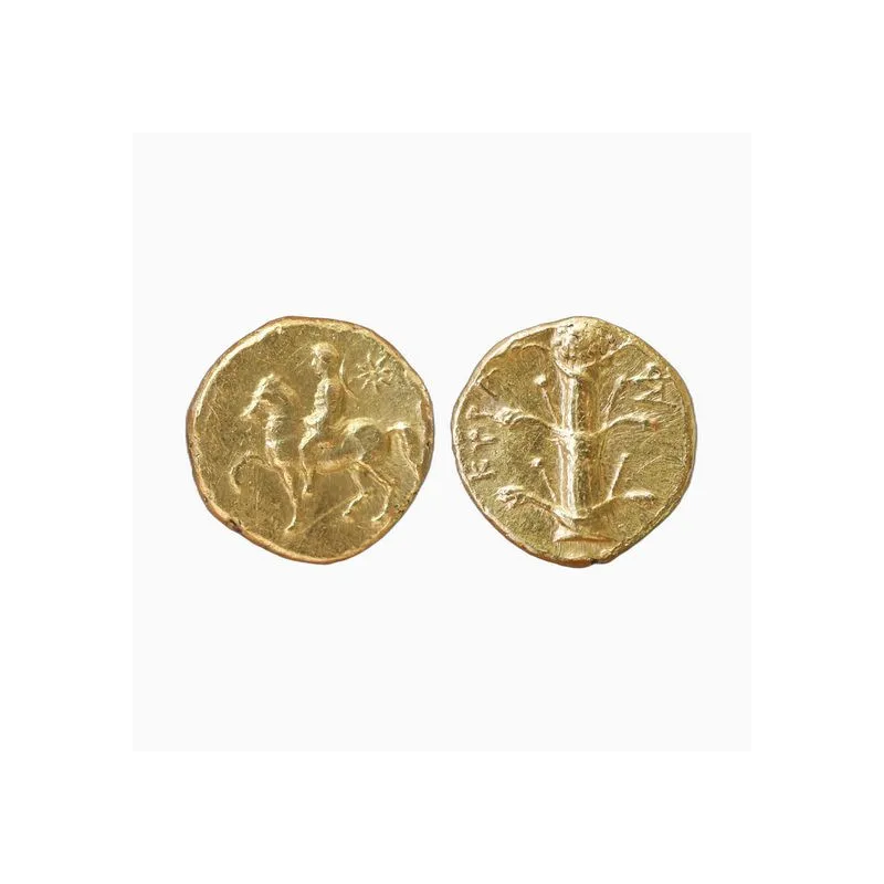 Cyrenaique, Magas roi de Cyrene - Tetrobol d'or au cavalier et au silphium - 003379