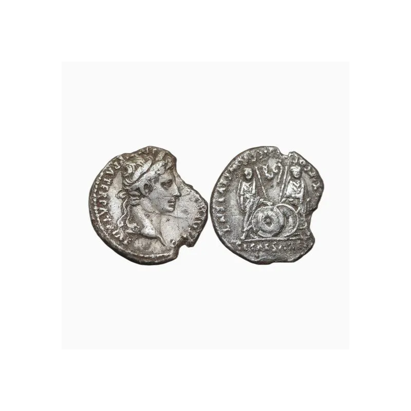 Auguste - Denier de Lugdunum aux Cesars Caius et Lucius - 003386