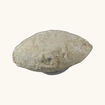 Ancient Greece – Lead Sling Bullet (4th Century BC) – With Certificate of Authenticity - vue 3