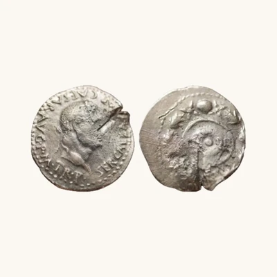 AR Denarius Galba — SER GALBA IMP CAES / Clipeus SP QR Oak Wreath — Spain AD 68 — RIC 234 var — Certificate of Authenticity - vu