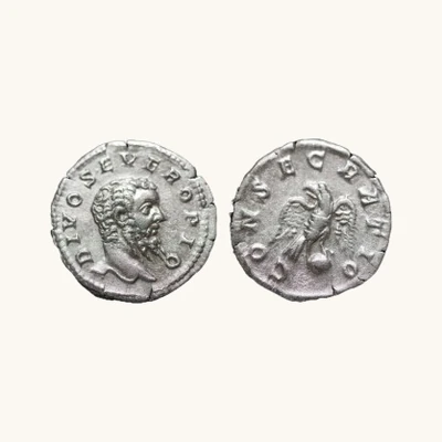 Rare — Divus Severus – Silver Denarius, c. AD 211 – CONSECRATIO – Certificate of Authenticity - vue 1