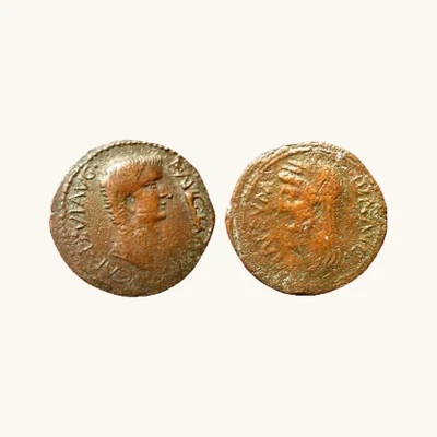 Rare — Thapsus (Byzacène) « Dupondius » de Tibère, c. 16–21 apr. J.-C. — Certificat d’authenticité - vue 1