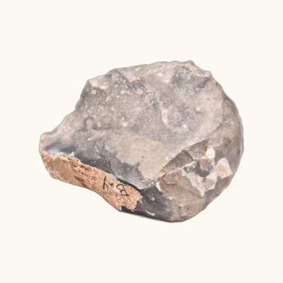 Neolithic Flint Scraper – Buigny, Somme (France) – 64 x 53 mm - vue 2
