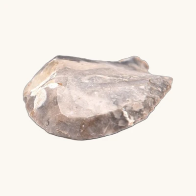 Neolithic Flint Scraper – Buigny, Somme (France) – 64 x 53 mm - vue 3