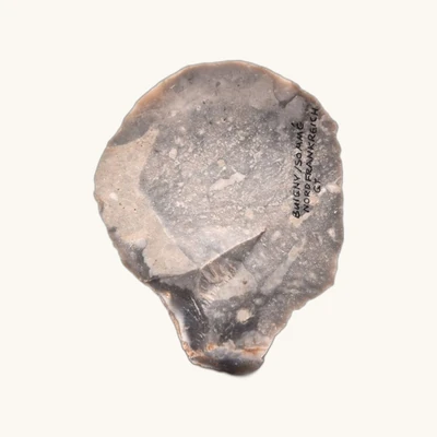 Grattoir néolithique en silex – Buigny, Somme – 64 x 53 mm - vue 4
