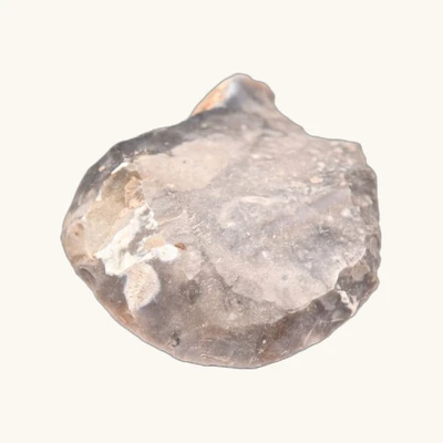 Neolithic Flint Scraper – Buigny, Somme (France) – 64 x 53 mm - vue 7