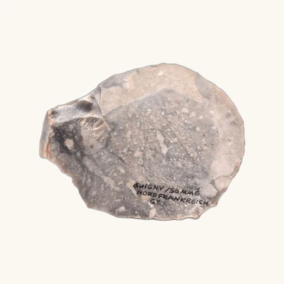 Neolithic Flint Scraper – Buigny, Somme (France) – 64 x 53 mm - vue 9